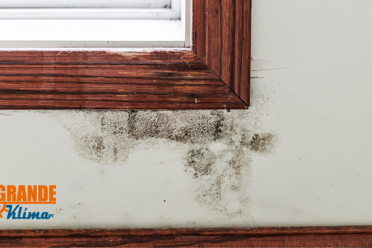 Klímát a nyaralóba? – Így kerüld el, hogy penészes vagy felforrósodott házba érkezz