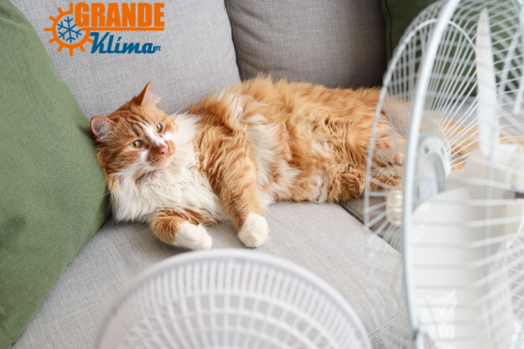 Klíma karbantartás Veszprémben: ne az első hőségnapon kérj időpontot