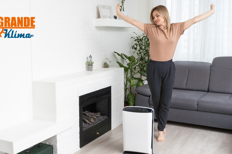 Íme 6 ok, amiért párátlanítóra van szükséged otthon